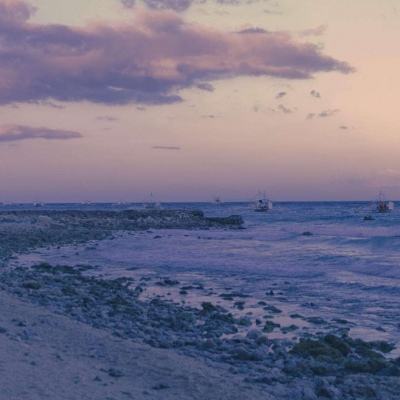 bsport体育在线登录下载手机版截图