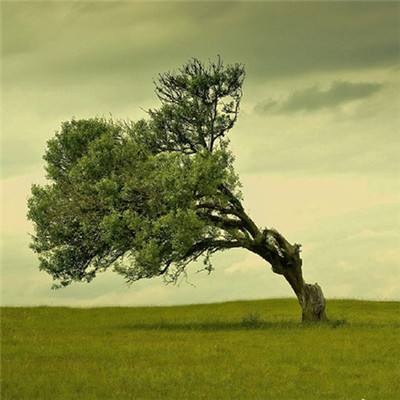 Kaiyun(云开)体育App(官方)手机app下载