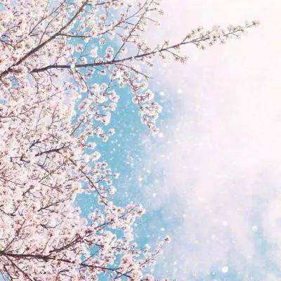 百姓彩票app下载