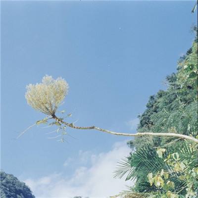 快彩乐首页app下载