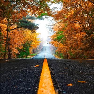 威尼斯欢乐娱人棋牌手机app下载