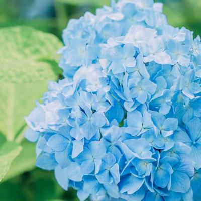 开云(中国)Kaiyun