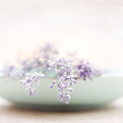 江南官方网站下载app下载