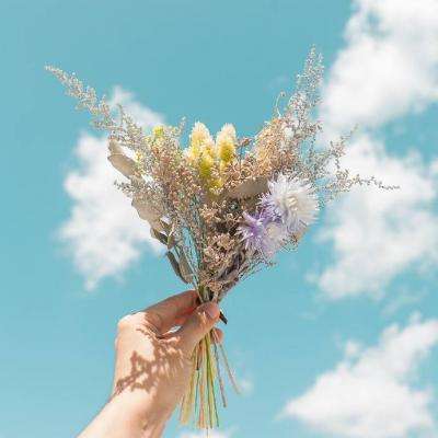 b体育官方体育app下载手机版截图